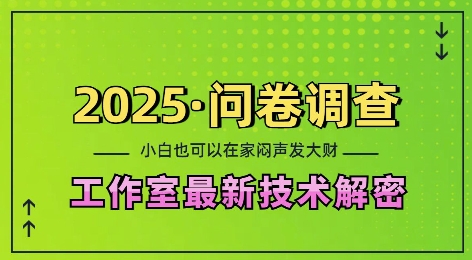 2025问卷调查最新工作室技术解密：一个人在家也可以闷声发大财，小白一天2张，可矩阵放大【揭秘】-搞钱利器