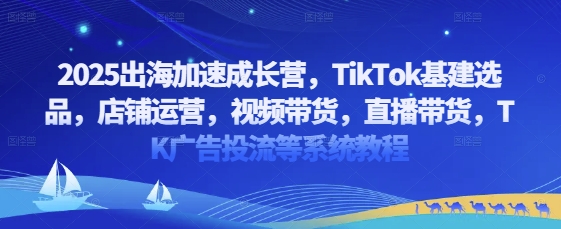 2025出海加速成长营，TikTok基建选品，店铺运营，视频带货，直播带货，TK广告投流等系统教程-搞钱利器