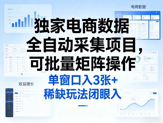 独家电商数据全自动采集项目，可批量矩阵操作，单窗口日入3张+，稀缺玩法闭眼入【揭秘】-搞钱利器