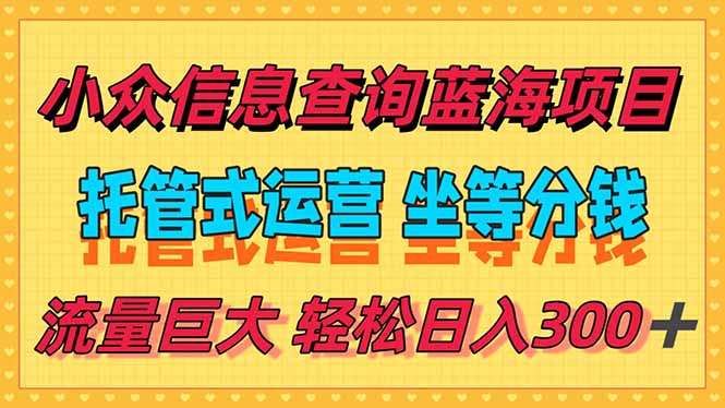 稳定日入300＋，小众信息查询蓝海项目，全程懒人式托管，解放你的时间-搞钱利器
