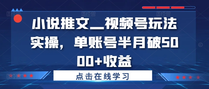 小说推文—视频号玩法实操，单账号半月破5000+收益-搞钱利器