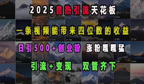 2025自热引流天花板，一条视频能带来四位数的收益，引流+变现双管齐下，日引500+创业粉，涨粉嘎嘎猛-搞钱利器