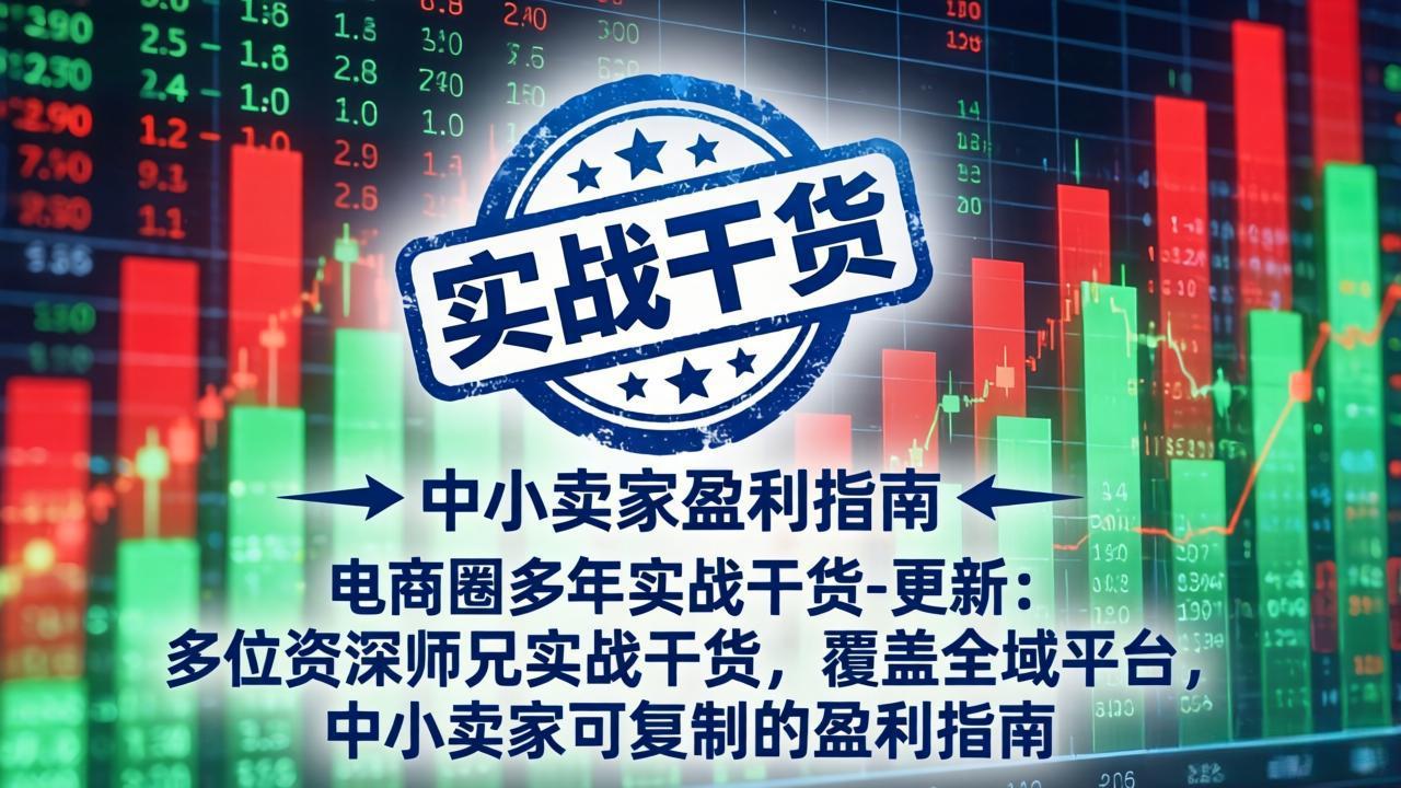 电商圈多年实战干货-更新5月10：多位资深师兄实战干货/覆盖全域平台，中小卖家可复制的盈利指南-搞钱利器
