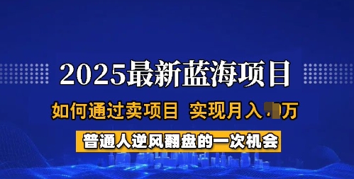 2025蓝海项目，普通人如何通过卖项目，实现月入过W，全过程【揭秘】-搞钱利器