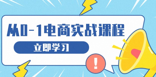从零做电商实战课程，教你如何获取访客、选品布局，搭建基础运营团队-搞钱利器