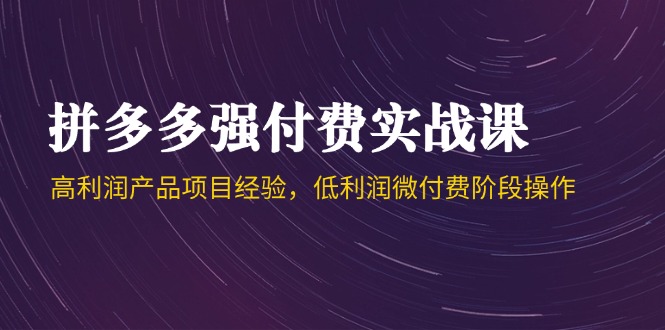 拼多多强付费实战课-44期，高利润产品项目经验，低利润微付费阶段操作-搞钱利器