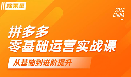 仙道电商·拼多多零基础运营实战课-搞钱利器