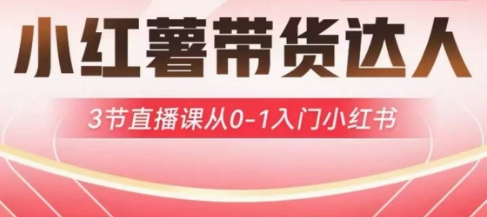 小红薯达人带货启航计划，3节直播课从0-1入门小红书-搞钱利器