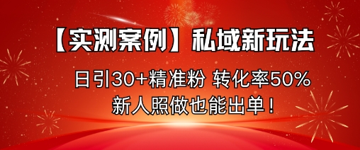 【实测案例】私域新玩法，日引30+精准粉，转化率50%，新人照做也能出单！-搞钱利器