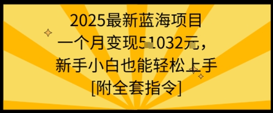 2025最新蓝海项目一个月变现1w+新手小白也能轻松上手【附全套指令】-搞钱利器