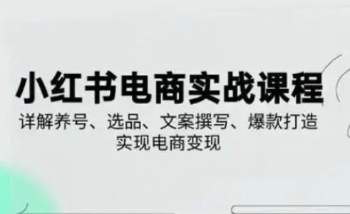 小红书从0-1实操课(2023-2025)，详解养号、选品、文案撰写、爆款打造实现电商变现-搞钱利器