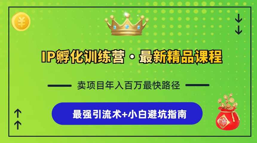 IP孵化训练营，知识付费全流程+最强引流术+小白避坑指南-搞钱利器