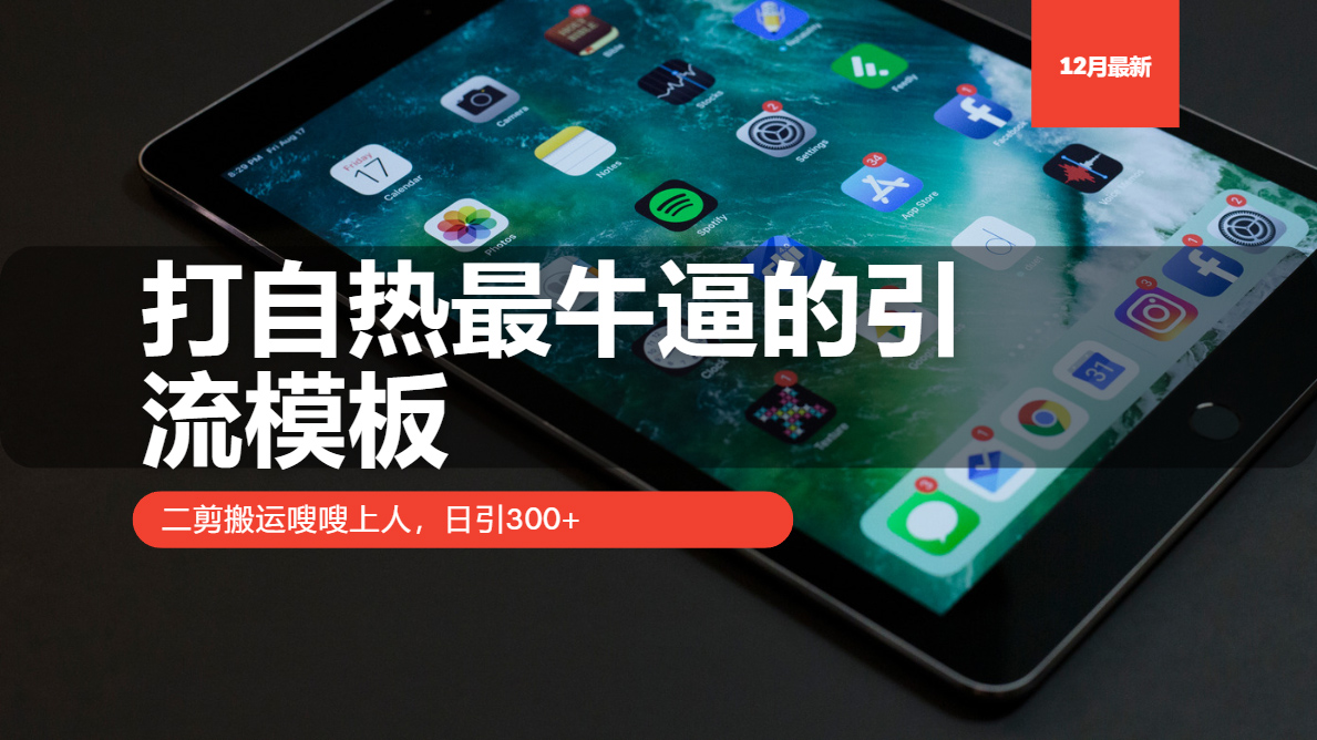 打自热最牛逼的引流模板，二剪搬运嗖嗖上人，日引300+-搞钱利器
