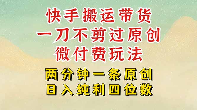 快手黑科技搬运带货，一刀不剪过原创，微付费投流玩法，轻松日入四位数…-搞钱利器