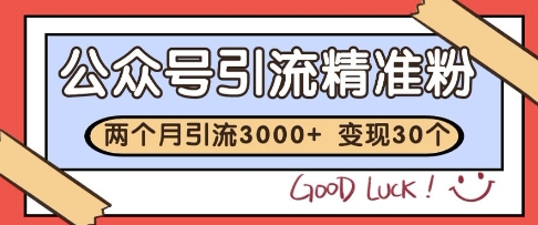 公众号精准粉引流玩法，2个月3000+精准粉，变现30个W【揭秘】-搞钱利器