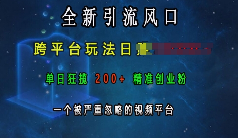 全新引流风口，跨平台玩法日入上k，单日狂揽200+精准创业粉，一个被严重忽略的视频平台-搞钱利器