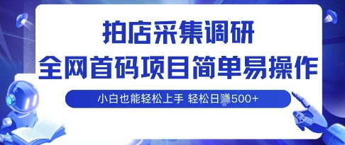 拍店采集调研，全网首码项目，简单易操作， 小白也能轻松上手，多账号操作，轻松日入5张【揭秘】-搞钱利器