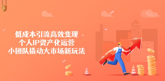 低成本引流高效变现，个人IP资产化运营，小团队撬动大市场新玩法-搞钱利器