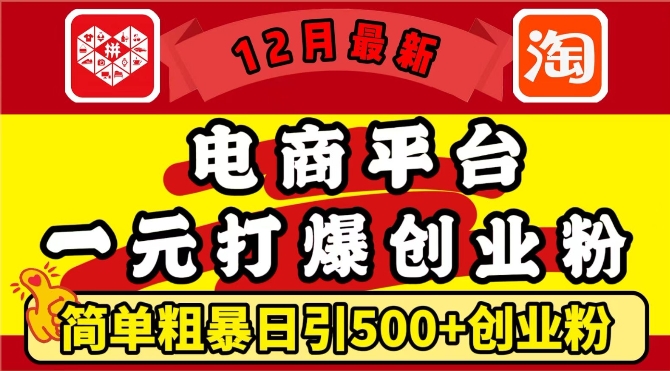 12月最新：电商平台1元打爆创业粉，简单粗暴日引500+精准创业粉，轻松月入过W【揭秘】-搞钱利器