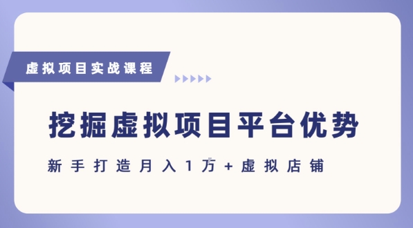 抓住虚拟项目各平台优势，新手轻松月入1W+(给出具体建议)-搞钱利器