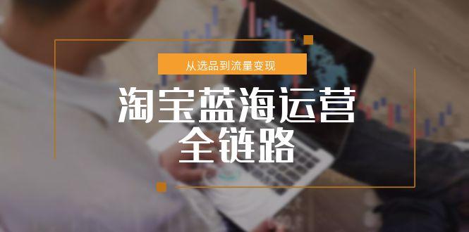 淘宝蓝海运营全链路，从选品到流量变现，小类目突围完整方案-搞钱利器
