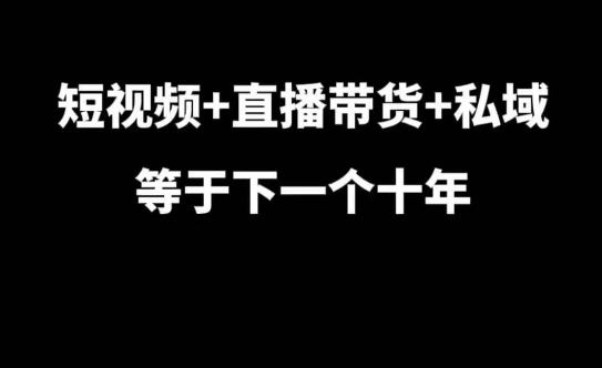 短视频+直播带货+私域等于下一个十年，大佬7年实战经验总结-搞钱利器