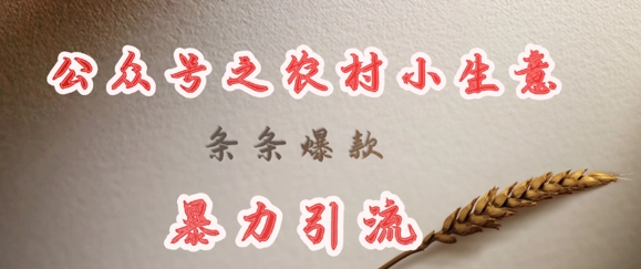 deepseek写农村小项目，条条爆款，暴力引流-搞钱利器