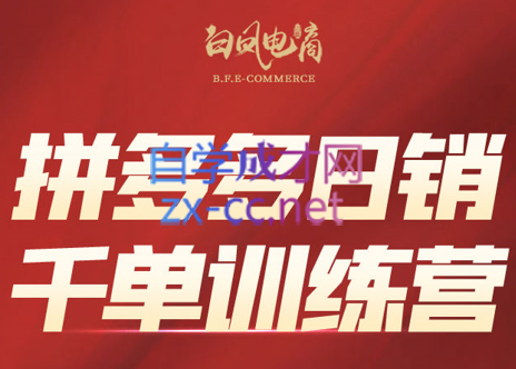 白凤电商·拼多多日销千单训练营(更新3月)-搞钱利器