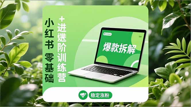 小红书零基础+高阶训练营:安全养号、爆款拆解、长效运营,实现稳定涨粉与变现-搞钱利器