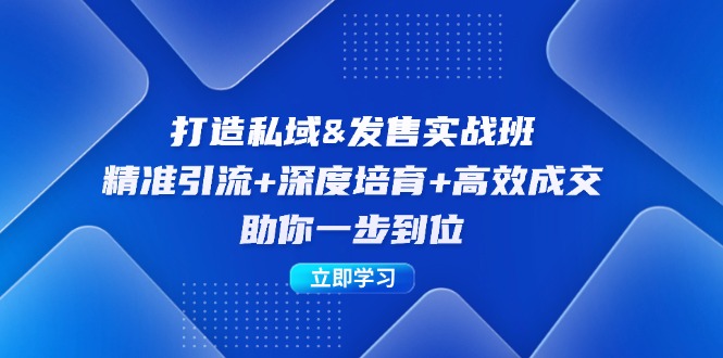 打造私域&发售实操班：精准引流+深度培育+高效成交，助你一步到位-搞钱利器
