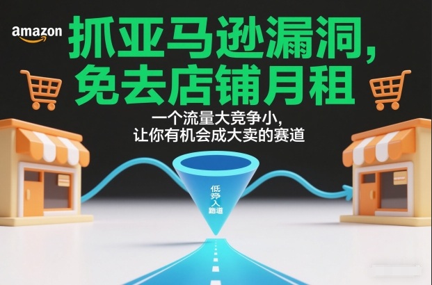 抓亚马逊漏洞，免去店铺月租，一个流量大竞争小，让你有机会成大卖的赛道-搞钱利器
