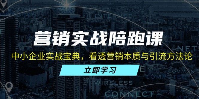 营销实战陪跑课：中小企业实战宝典，看透营销本质与引流方法论-搞钱利器