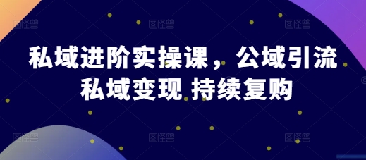 私域进阶实操课，公域引流 私域变现 持续复购-搞钱利器