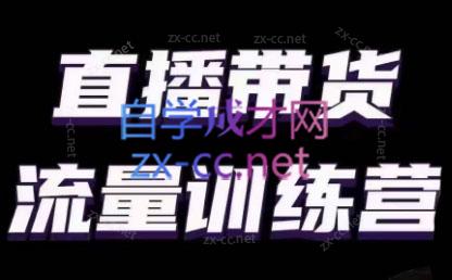 婉婉·直播带货课程系列合集(更新8月)-搞钱利器