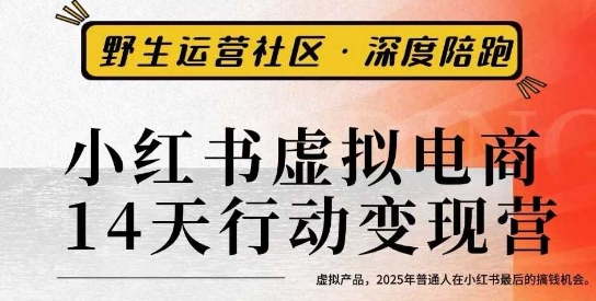 小红书虚拟电商14天变现训练营3.0，​虚拟产品，2025年普通人在小红书最后的搞钱机会-搞钱利器