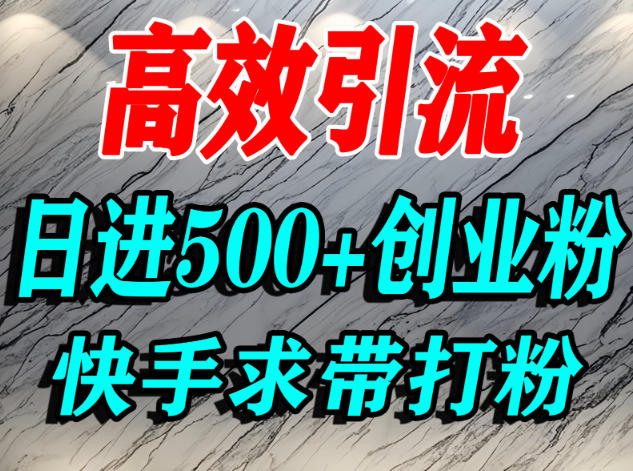 怎么打创业粉？快手求带视角精准引流创业粉，宝妈、学生群体日进500+精准流量-搞钱利器