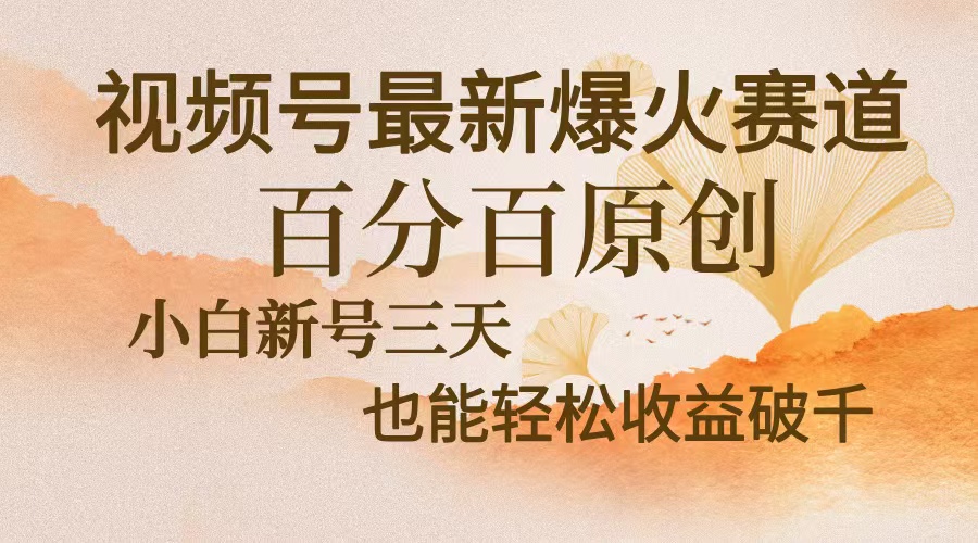 视频号最新爆火赛道，中老年粉深信不疑，百分百原创，新号三天收益轻松…-搞钱利器