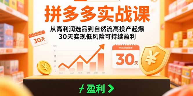 拼多多实战课：从高利润选品到自然流高投产起爆 30天实现低风险可持续盈利-搞钱利器