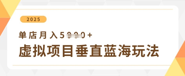 虚拟项目垂直玩法，实现单店月入5k+-搞钱利器