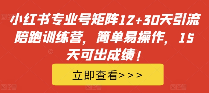 小红书专业号矩阵12+30天引流陪跑训练营，简单易操作，15天可出成绩!-搞钱利器
