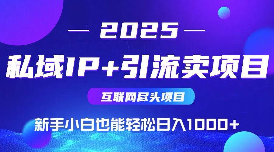 2025网创尽头项目，私域IP+引流，新手小白也能在家日入1000+-搞钱利器