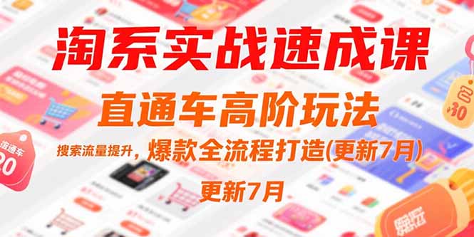 淘系实战速成课，直通车高阶玩法，搜索流量提升，爆款全流程打造(更新7月-搞钱利器