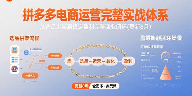 拼多多电商运营完整实战体系，从选品上架到稳定盈利完整商业闭环(更新8月-搞钱利器