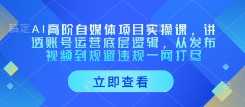 AI高阶自媒体项目实操课，讲透账号运营底层逻辑，从发布视频到规避违规一网打尽-搞钱利器