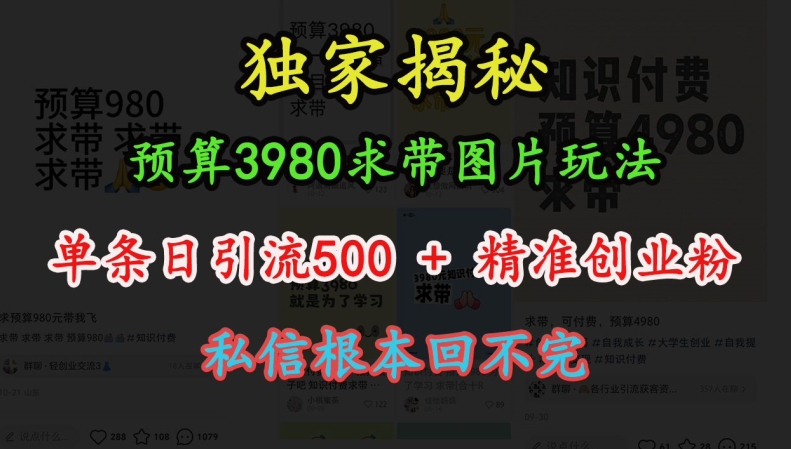 预算3980求带 图片玩法，单条日引流500+精准创业粉，私信根本回不完-搞钱利器