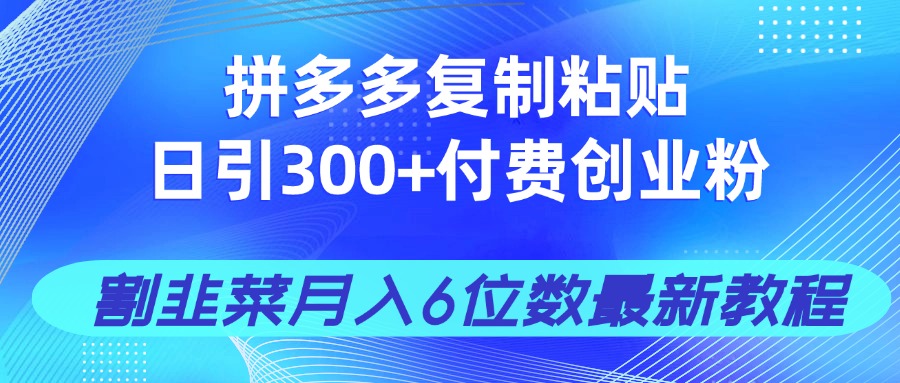 拼多多复制粘贴日引300+付费创业粉，割韭菜月入6位数最新教程！-搞钱利器