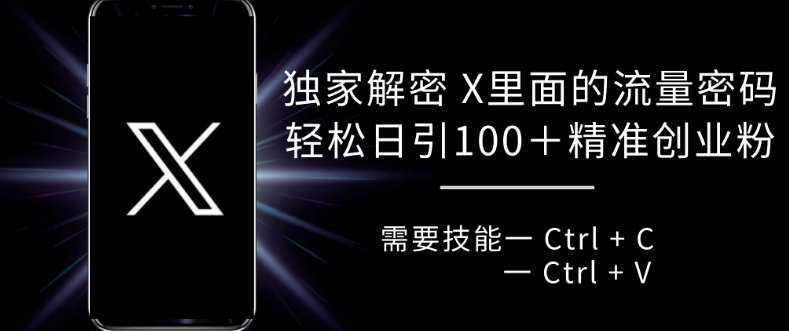 独家解密 X 里面的流量密码，复制粘贴轻松日引100+-搞钱利器