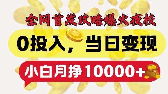 全网首发爆火夜校，0投入，当日变现，小白轻松月入1w+【揭秘】-搞钱利器