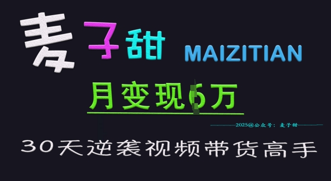 麦子甜30天逆袭视频带货高手，单月变现6W加特训营-搞钱利器