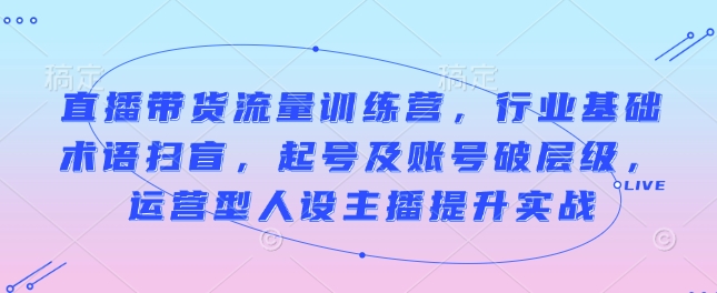 直播带货流量训练营，行业基础术语扫盲，起号及账号破层级，运营型人设主播提升实战-搞钱利器